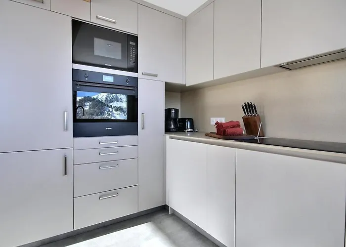 Apartamento Magnifique Rénové Avec Balcon Et Wifi à Plagne Centre - Fr-1-455-169 La Plagne